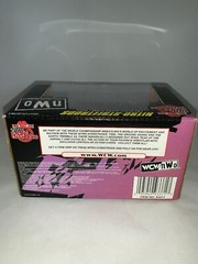 Racing Champions Nitro-Streetrods NWO Hollywood Hogan & Goldberg, Diecast (B40)
