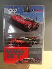 MINI GT #746 – 2023 CADILLAC V-SERIES R #31 WHELEN ENGINEERING – MIJO USA EXCLE