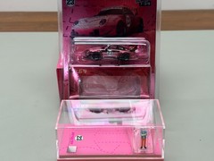Model Model 1/64 RWB 993 HEC Beijing Expo Electroplating Hidden Version