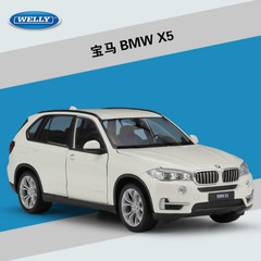 Welly BMW X5 1/24 Alloy Diecast Model Car 7.5 Inch