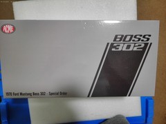 1970 FORD MUSTANG BOSS 302 LIGHT SILVER SPECIAL ORDER CAR 1:18 ACME A1801893