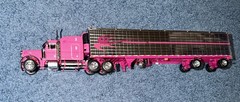 DCP Die Cast Promotions 1/64 Pink Peterbilt 379 W/ Trailer #30546