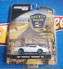 Greenlight Chase 1981 Pontiac Firebird T/A Green Machine County Roads Series 2